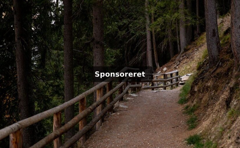 Vandreture og tålmodighed: Hvad friluftsliv kan lære os om strategi